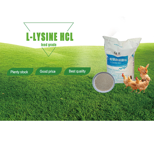 L-Lysine Hydrochloride feed grade poultry 
